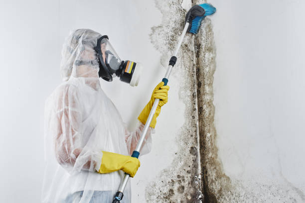 Mold Remediation for Rental Properties in Oxford, GA